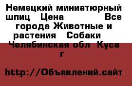 Немецкий миниатюрный шпиц › Цена ­ 60 000 - Все города Животные и растения » Собаки   . Челябинская обл.,Куса г.